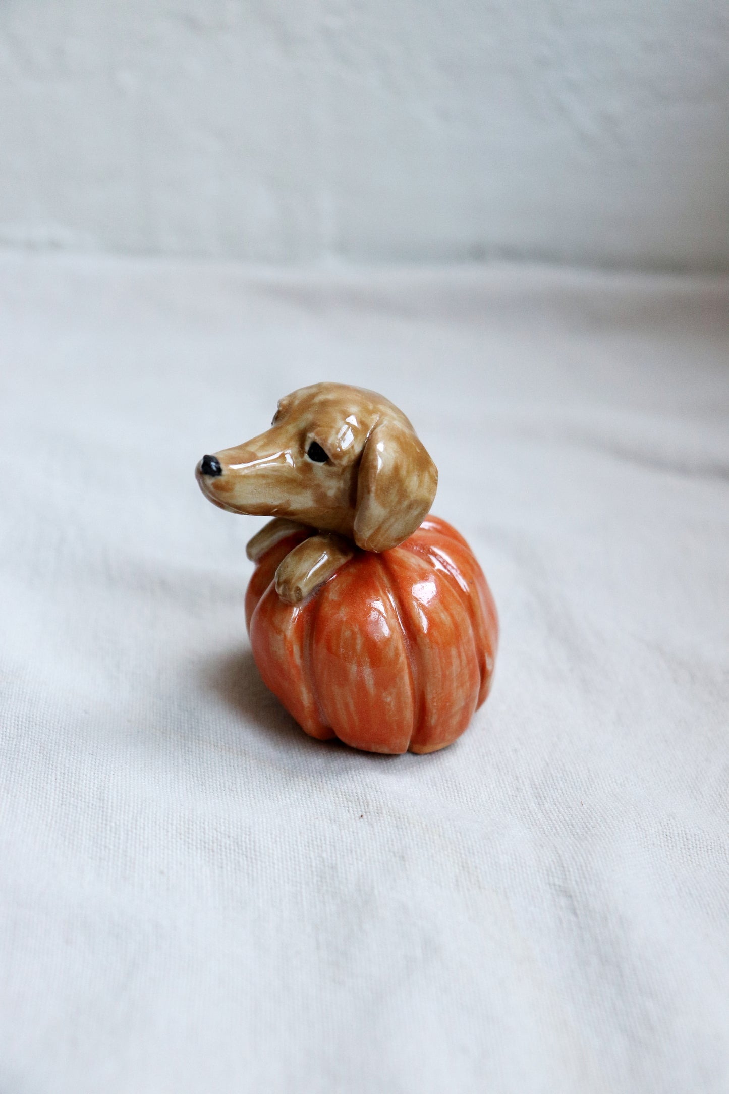 Pumpazombie-hunden