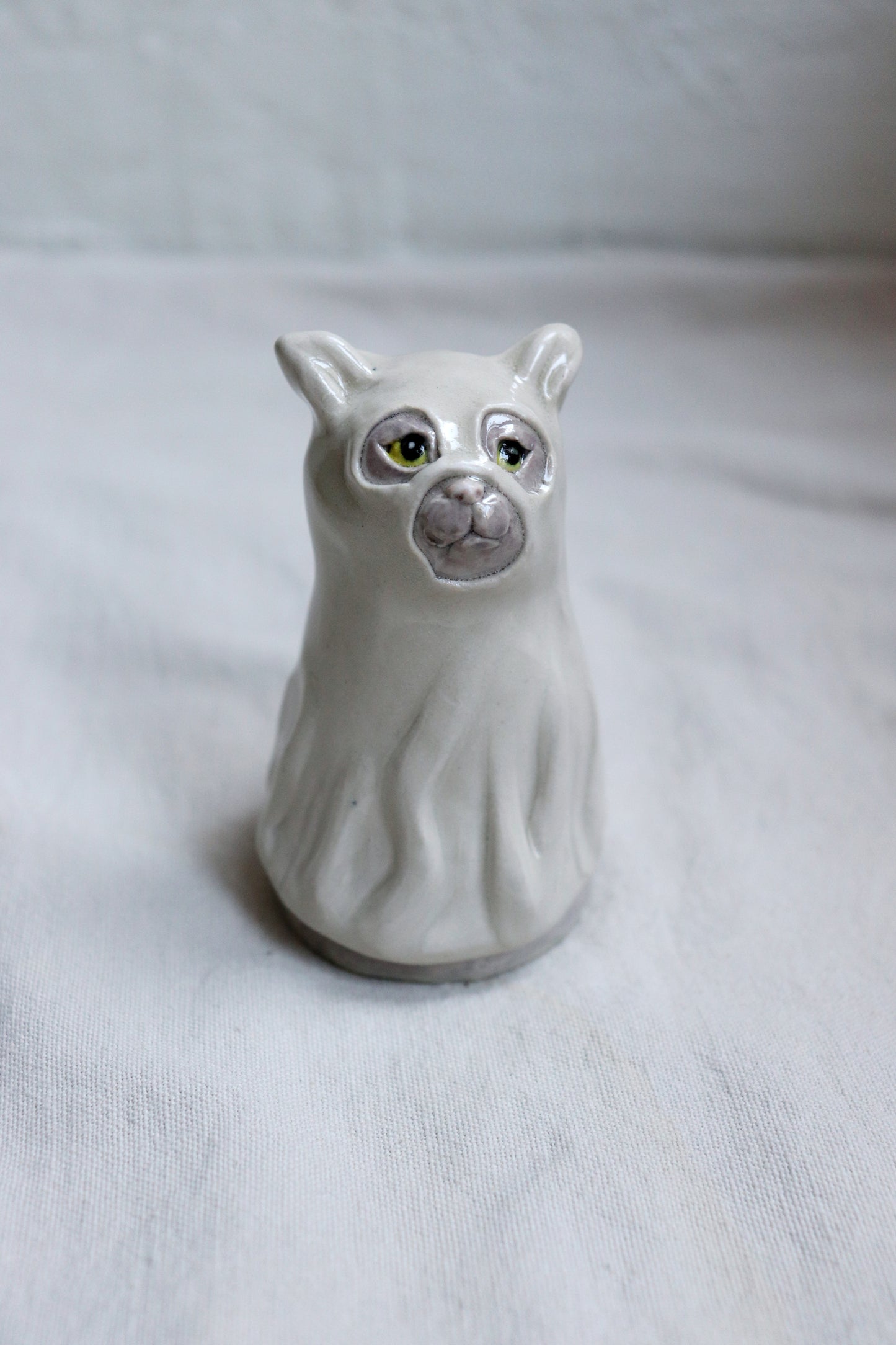 Spökkatt 1