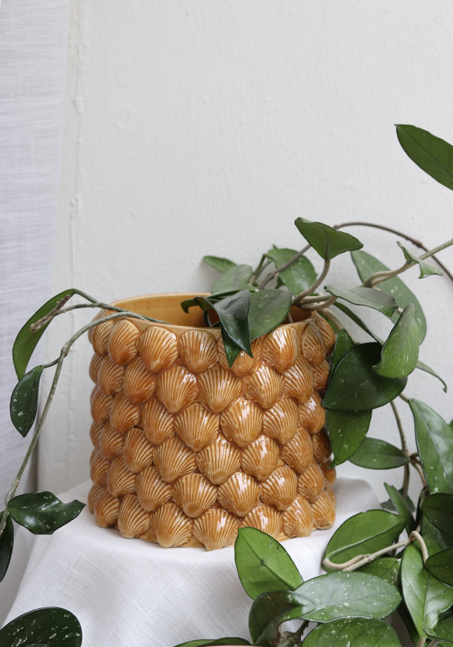 Snäckkruka gul