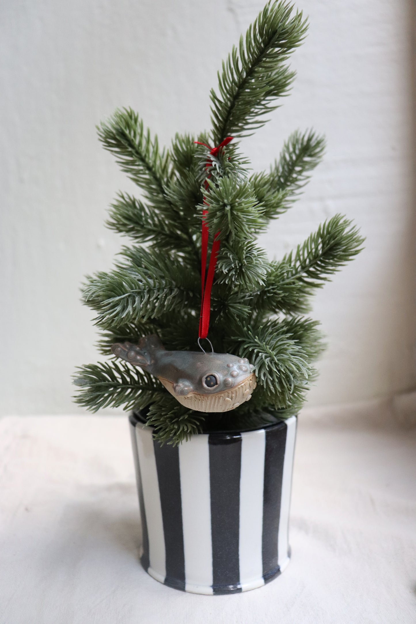 Knölvalsbebis till granen