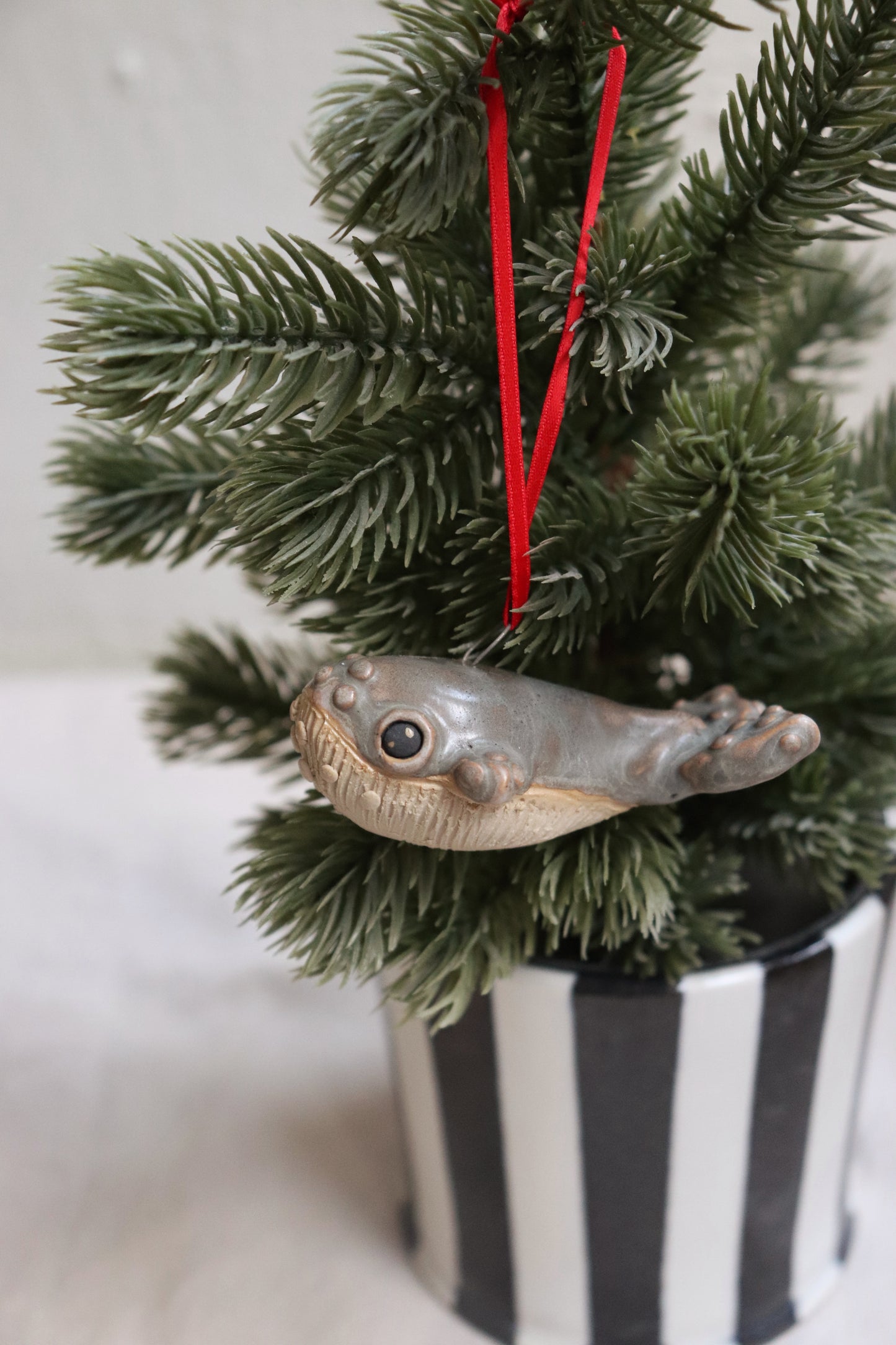 Knölvalsbebis till granen