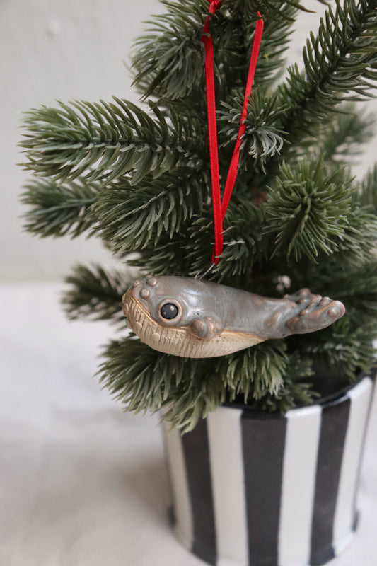 Knölvalsbebis till granen