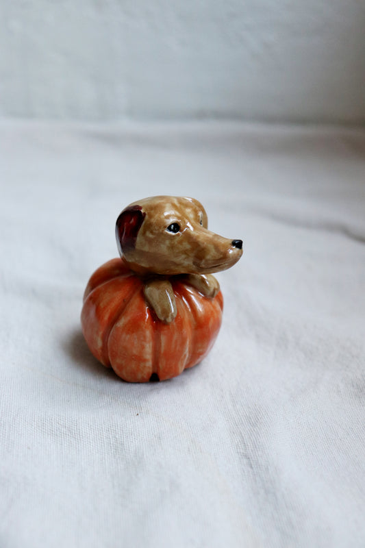 Pumpazombie-hunden