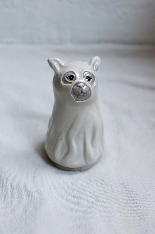 Spökkatt 1