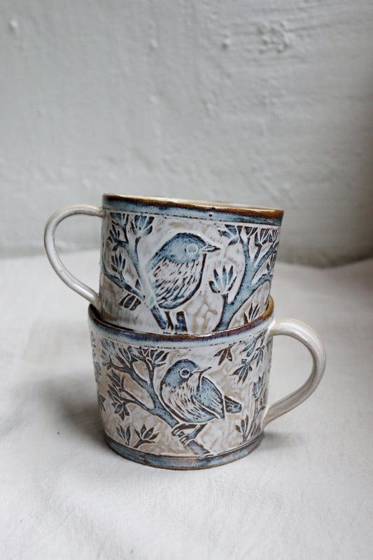 Sgraffitokopp - sångglasögonfågel