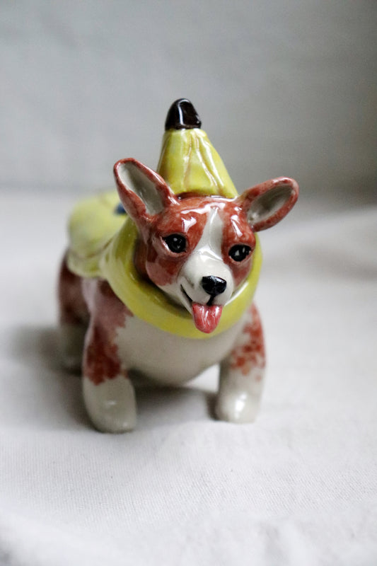 Banancorgi